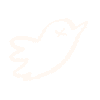 twitter twitter